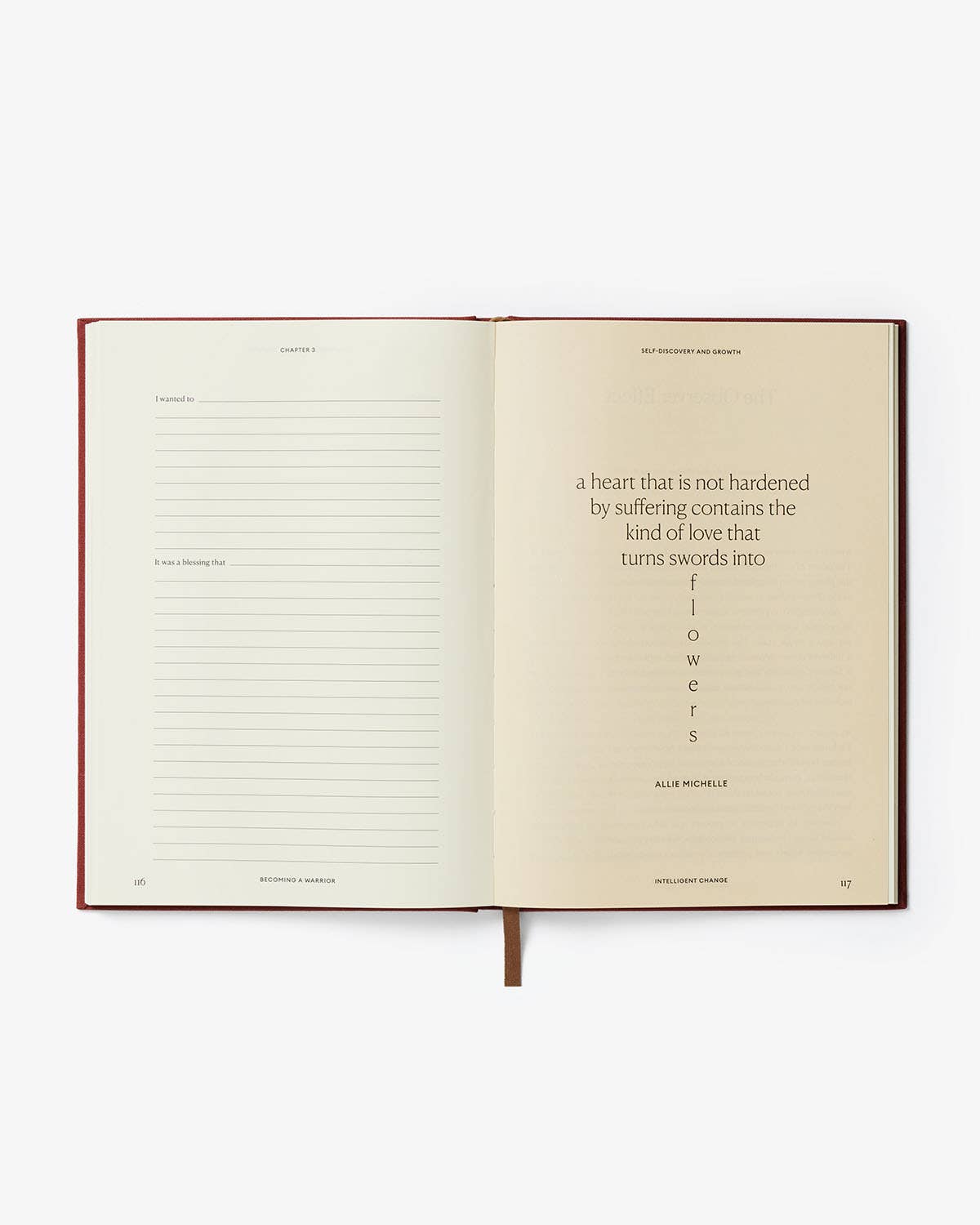 Diario de cómo convertirse en un guerrero