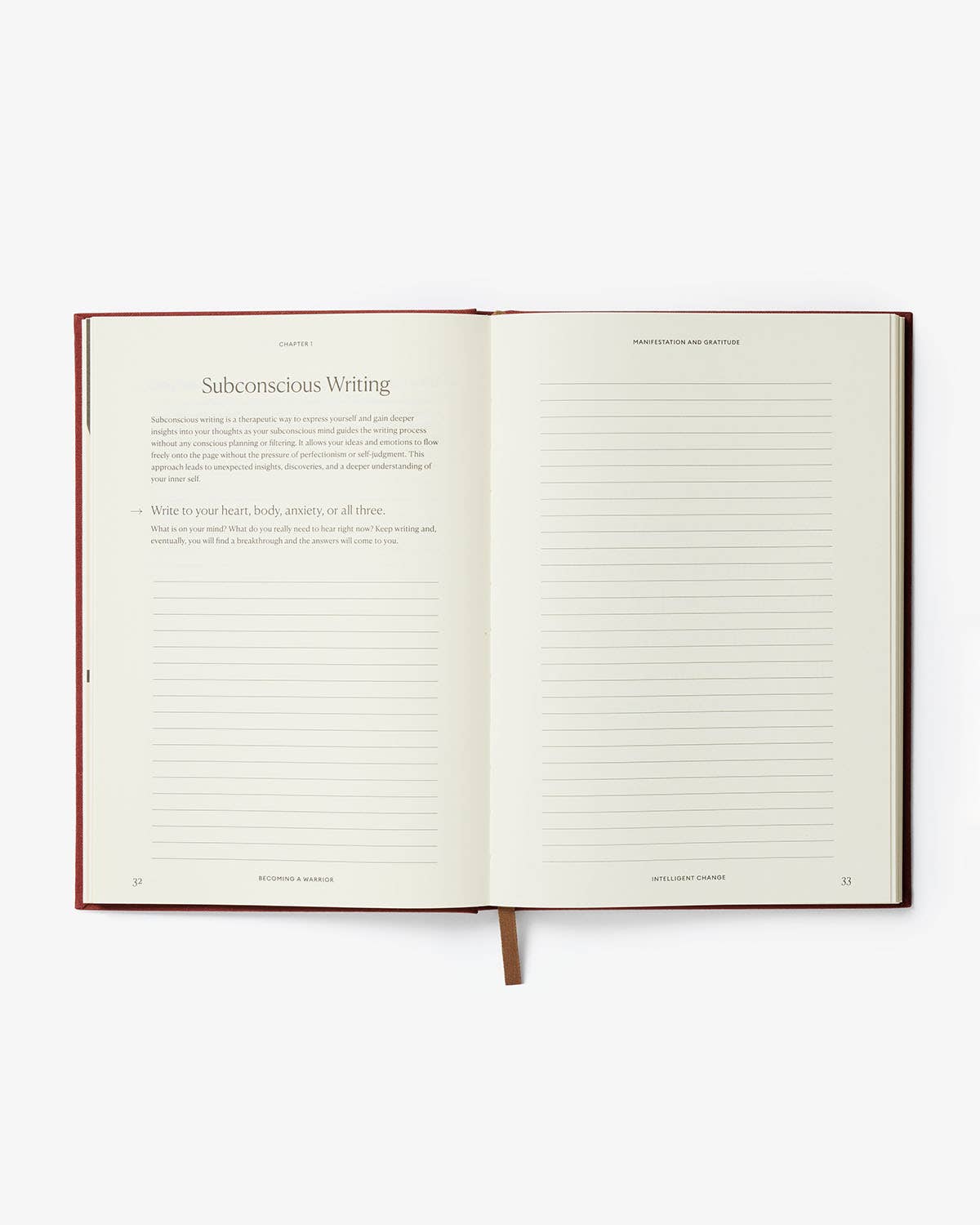 Diario de cómo convertirse en un guerrero